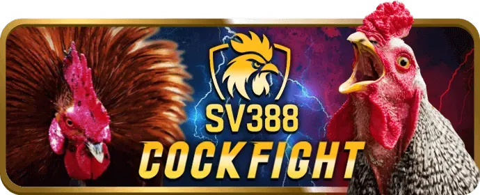 Trò chơi 3D Slots với đồ họa ấn tượng